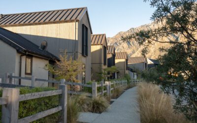 Property Insights for 2026: Are We Finally Turning a Corner?